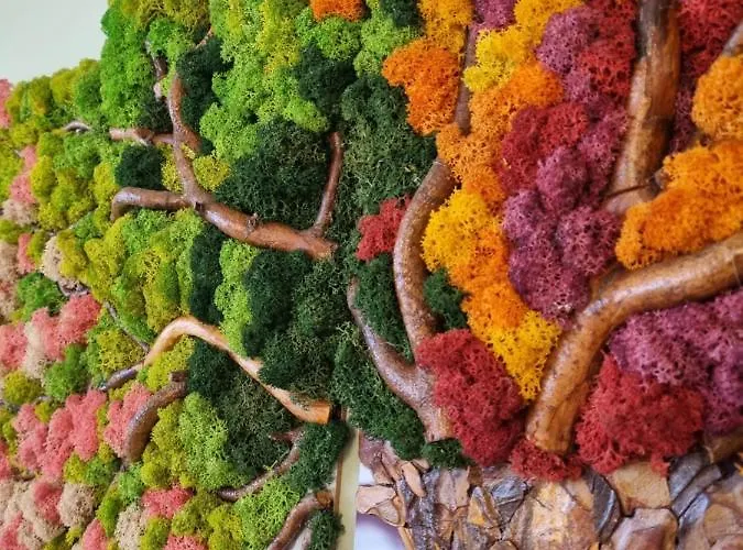 Lägenhet Sky Cloud Timişoara